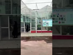 Sichuan Shihong, fábrica de aminoácidos -Lulu