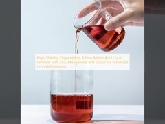 Oligopéptido de alta estabilidad y fertilizante líquido de aminoácidos libres con zinc, manganeso y silicio para mejorar el rendimiento de los cultivos