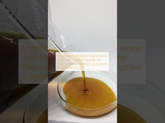 Ácido Amino Líquido Hidrolizado Enzímico 50%    Proteína péptidos para Farmacia, Biofermentación y Suplementos Nutricionales 8-0-0