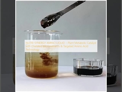 NUTRI-SYNERGY AMINO LÍQUIDO – Catalizador Metabólico Vegetal con Micronutrientes Quelatados y Tecnología de Aminoácidos Dirigidos