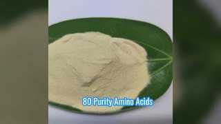 Suplemento de grado farmacéutico de aminoácidos de 80 pureza