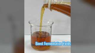Impulsar la fermentación produce proteína de soja enzimática