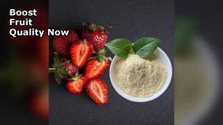 El fertilizante de calcio orgánico aumenta el rendimiento de la fruta