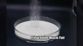 Recuperación del crecimiento muscular amino animal primario