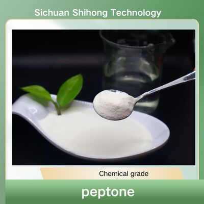 High Purity 99% Peptone with 80% Protein Content and ≤1ppm Arsenic for Pharmaceutical and Food Industries