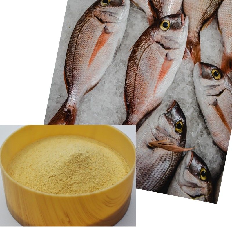 Ultra-Pure Marine-Source Amino Acid Powder with 82% Peptide-Rich Content for Organic and High-Value Crop Cultivation